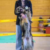 593319071_1159760976297571_8835559839118860861_n