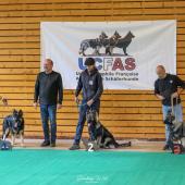 593392453_1159754069631595_155850495864584051_n