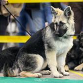 593433789_1159747556298913_3981125119096112147_n