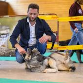 593461059_1159753479631654_1534465959242682318_n