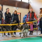 593463839_1159754099631592_6648498464954591686_n