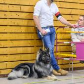 594002197_1159762492964086_1515006940645455051_n