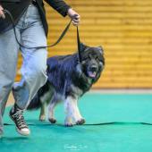 594025370_1159761389630863_2584246934505912238_n