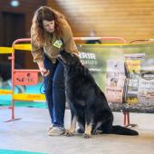 594051363_1159759622964373_5352958167873607746_n