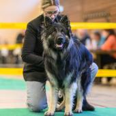 594070034_1159761529630849_3855541165585754189_n