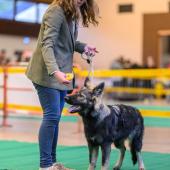 594125343_1159763486297320_950735692046652564_n