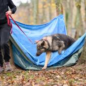 594132393_1159763126297356_3609152452579147696_n