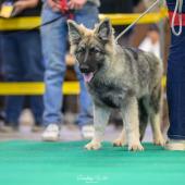 594153438_1159747522965583_3273416514080532018_n