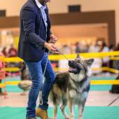 594207338_1159748469632155_2197444623224641749_n