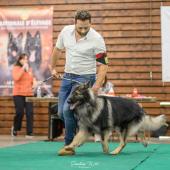 594427708_1159762639630738_4628057867729783432_n