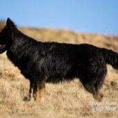 WG Photographies 2016-28
