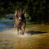 thumbnail_yasna-riviere-4