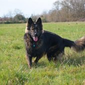 yasna-debout-2-560x372