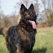 yasna-pose-2-560x372